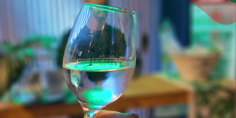 Malbec de Selva 2025 tiene su agua oficial y es Agua de las misiones